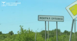 «Видим сокращение обстрелов»: губернатор Гладков об оперативной обстановке в Мокрой Орловке 