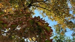 В Белгородской области завершился противопожарный режим 