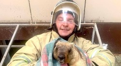 Сурка-байбака вызволили из ямы в Ровеньском районе